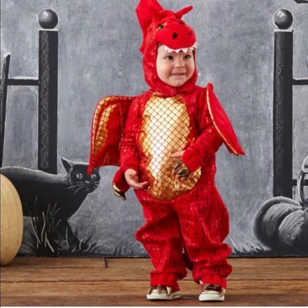 Pottery Barn Kids Dragon costume